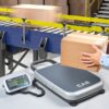 CAS PB - Portable Platform Bench Scale - 60 Kg, 200 Kg - Image 3