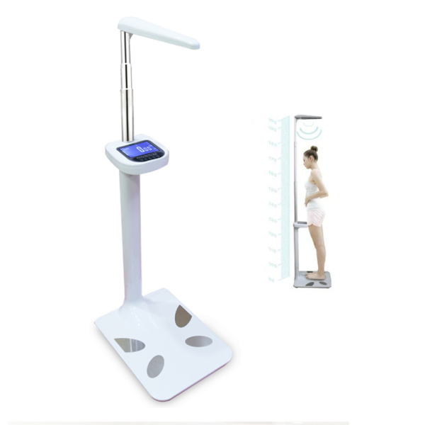 digital body scale for home and gym