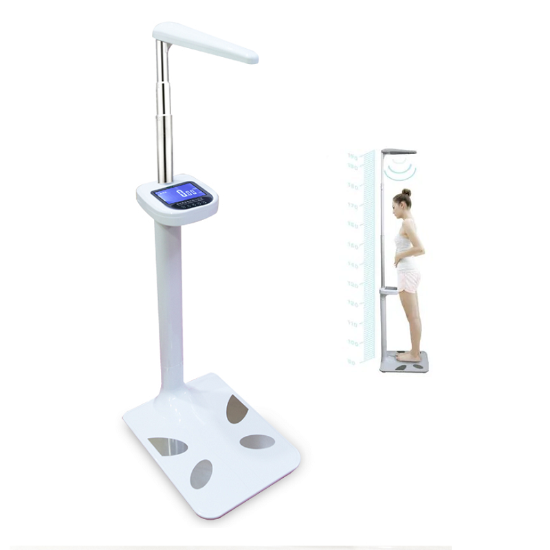 https://www.weighing.ae/wp-content/uploads/2020/10/BYH01-2-body-scale-bmi-for-gym-height-and-weight.png