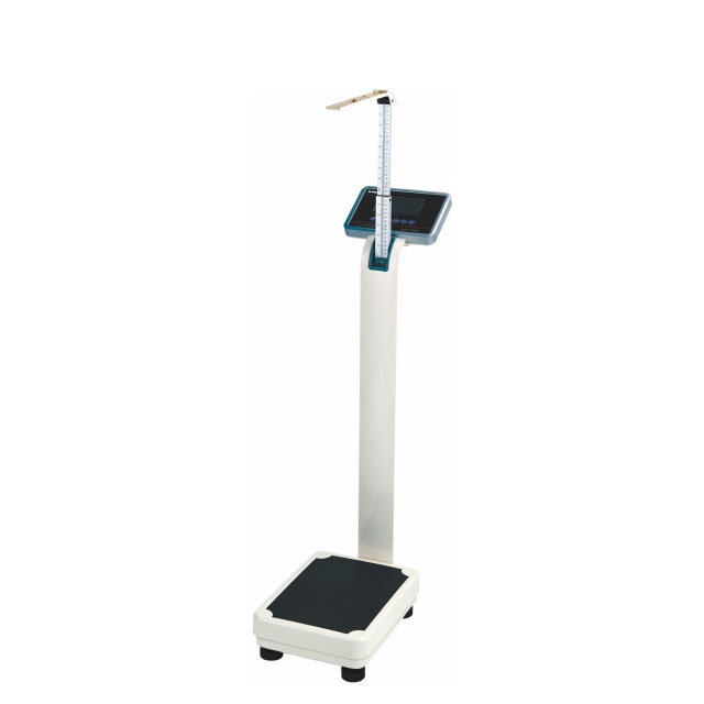 Metra BMI, Weight and Height Scale - TCS-GYM Supplier in Dubai, Abu Dhabi,  Sharjah - Petra - UAE Weighing Equipment Division