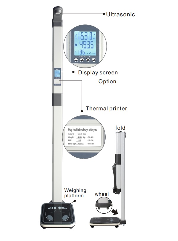 Metra BMI, Weight and Height Scale - TCS-GYM Supplier in Dubai, Abu Dhabi,  Sharjah - Petra - UAE Weighing Equipment Division